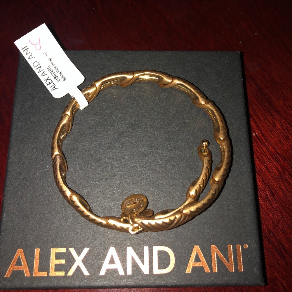 Alex and Ani bracelet: Rolling Hills